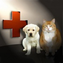 Логотип ветеринарной клиники